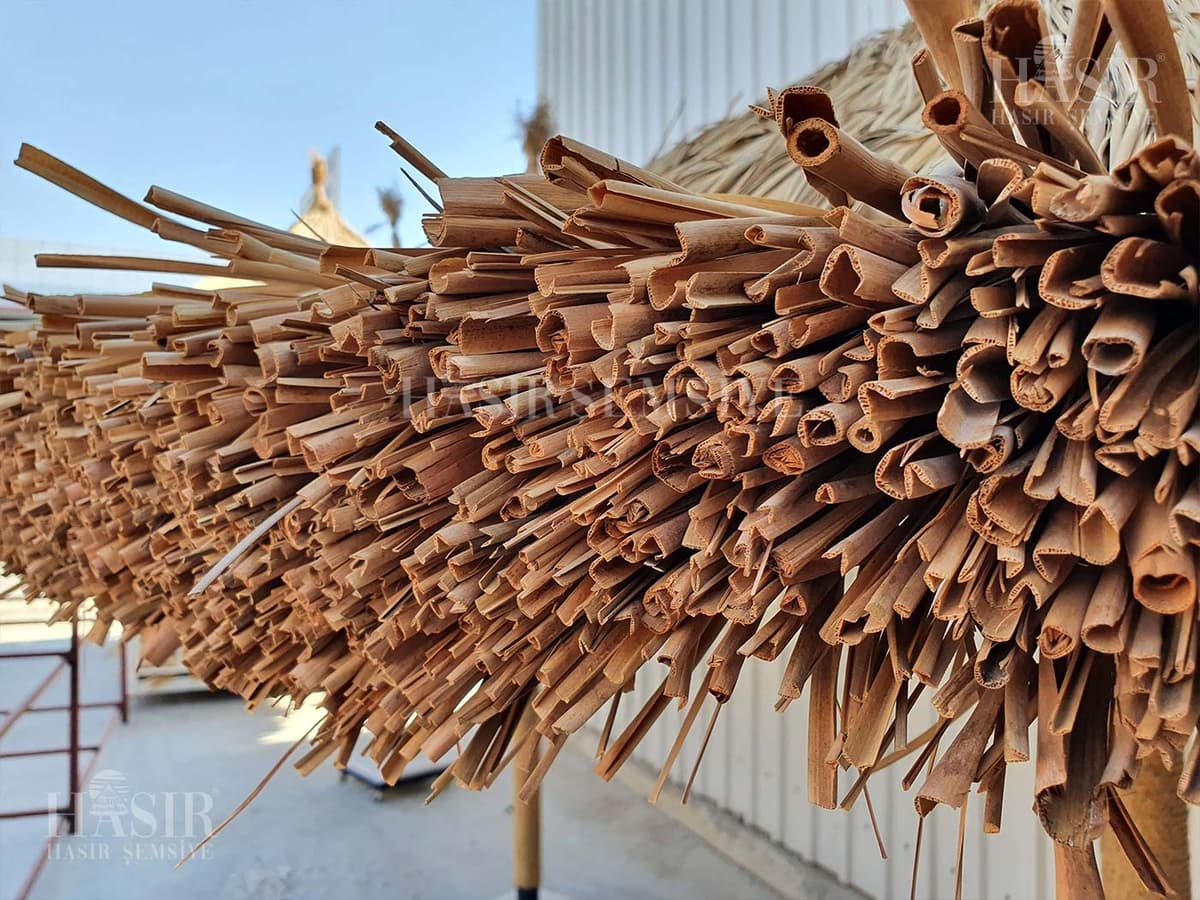 Bambu Şemsiye