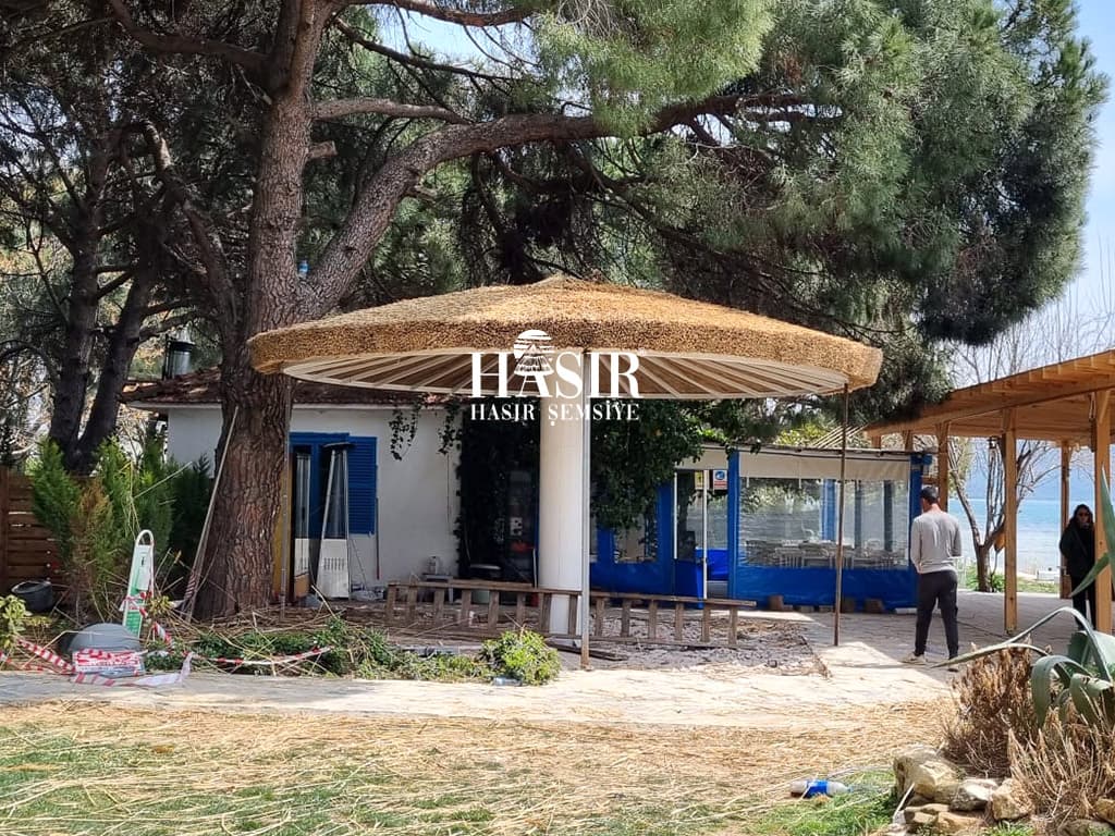 Kamış Çatı